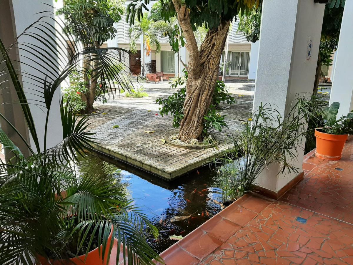 F3 _ Kaz Ananas Passion Au Manganao Apartment แซงต์-ฟรองซัวส์ ภายนอก รูปภาพ