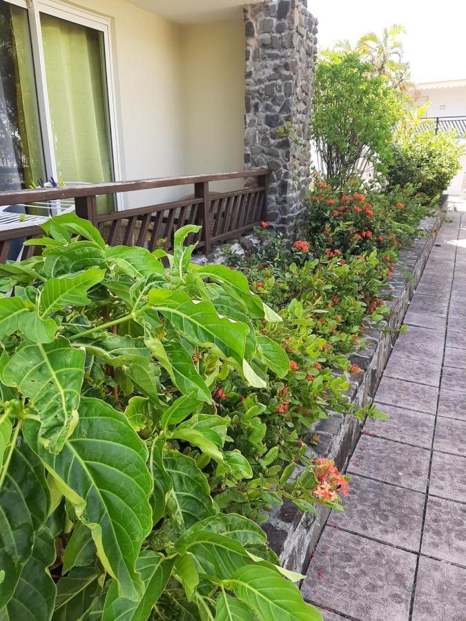 F3 _ Kaz Ananas Passion Au Manganao Apartment แซงต์-ฟรองซัวส์ ภายนอก รูปภาพ